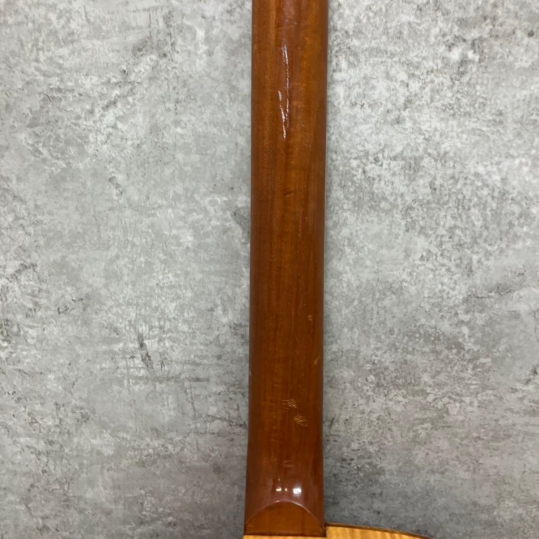 Nardan ナルダン ピックギター 弦なし　現状品【6c068390】