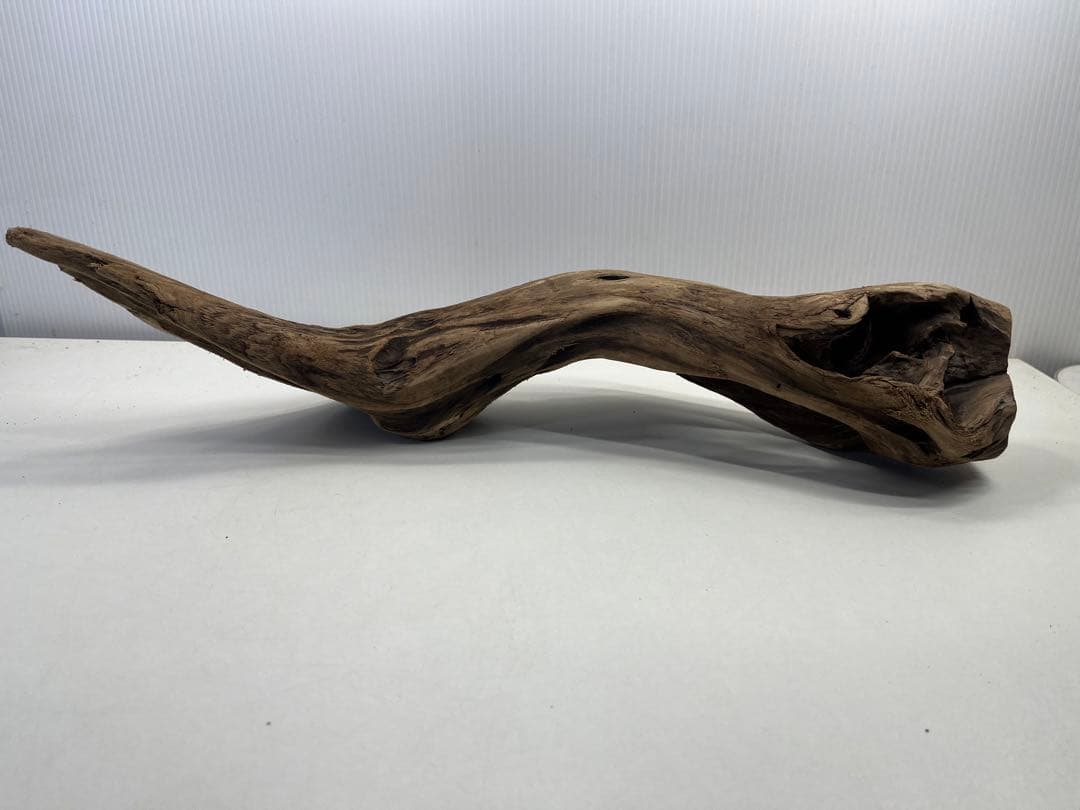 k50アク抜き済み流木 爬虫類シェルター レイアウト用 登り木 インテリア