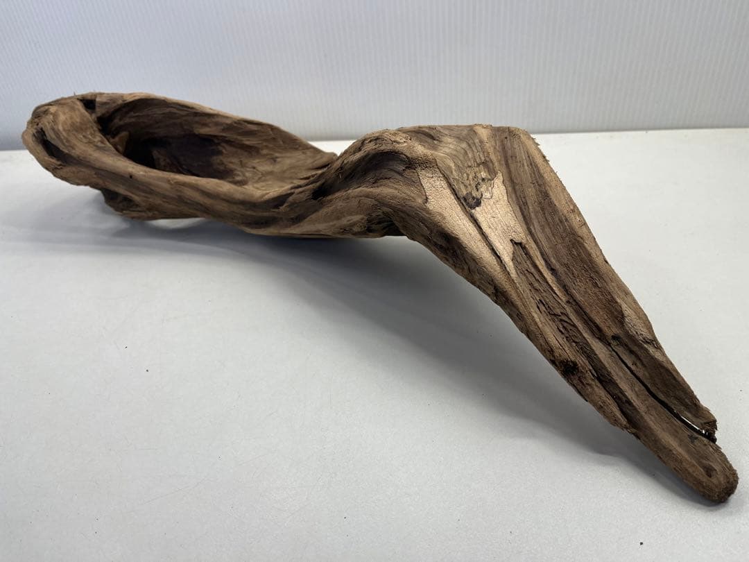 k50アク抜き済み流木 爬虫類シェルター レイアウト用 登り木 インテリア