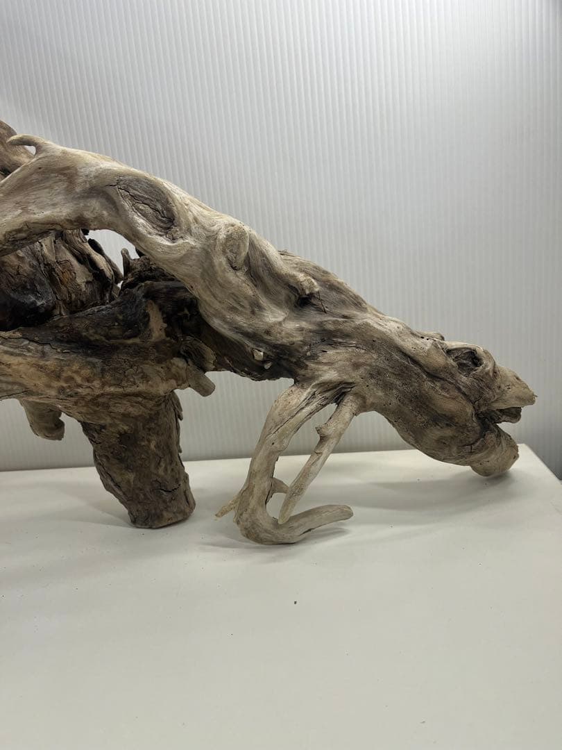 V24特大流木 アク抜き済み流木 爬虫類シェルター 登り木 インテリア 生け花