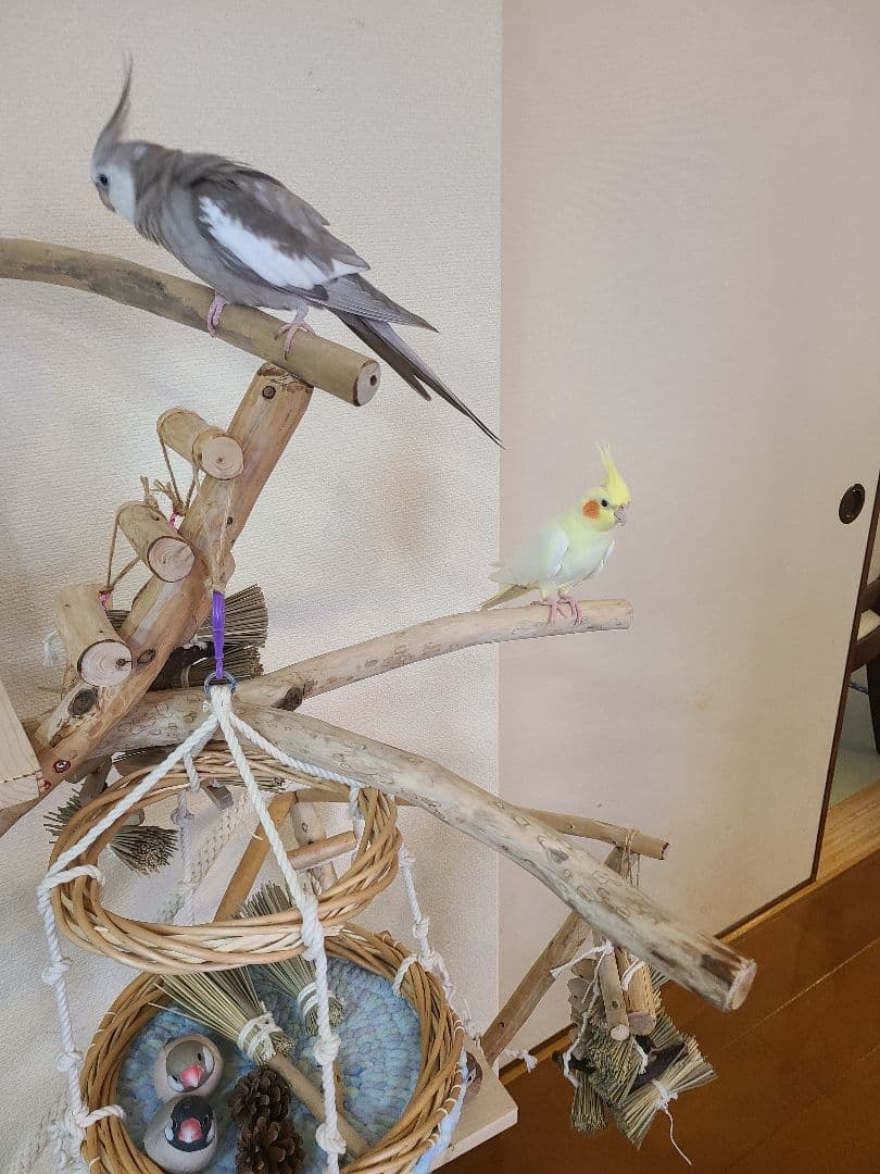 ② MEGオーダーバードアスレチック　流木　ハンドメイド