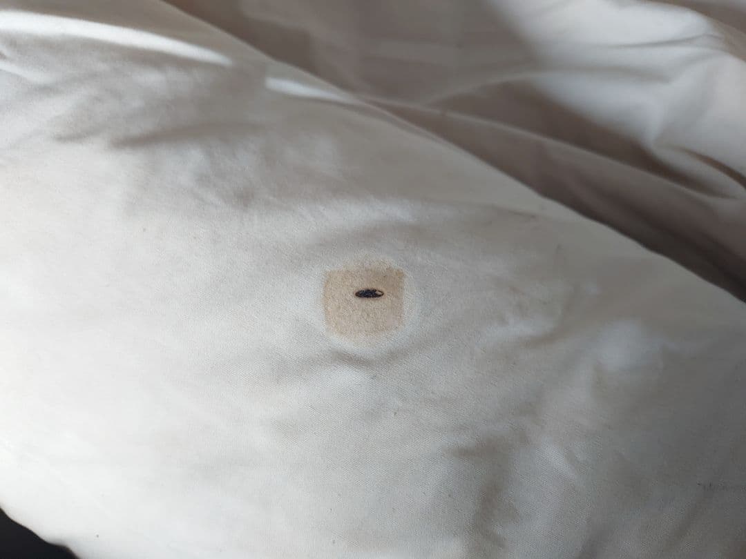 ノルディスク nordisk スー ミニスー テント 希少 激レア 入手困難