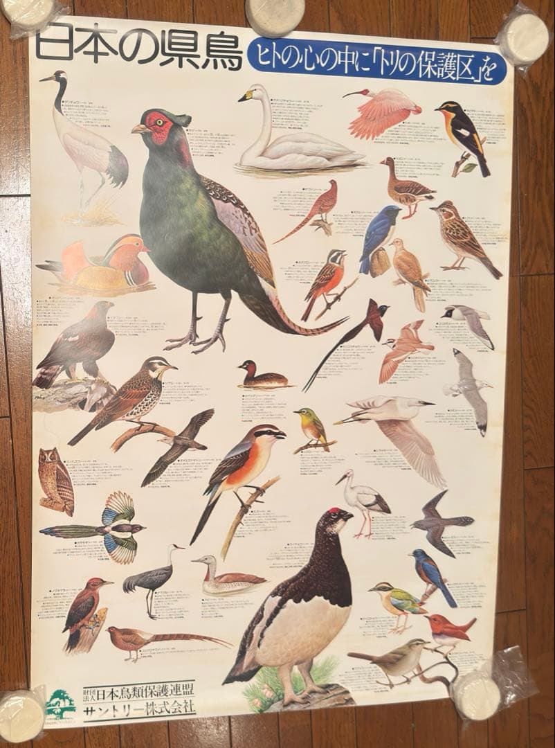 サントリー ポスター3枚セット アホウドリ イヌワシ 日本の県鳥 骨董品