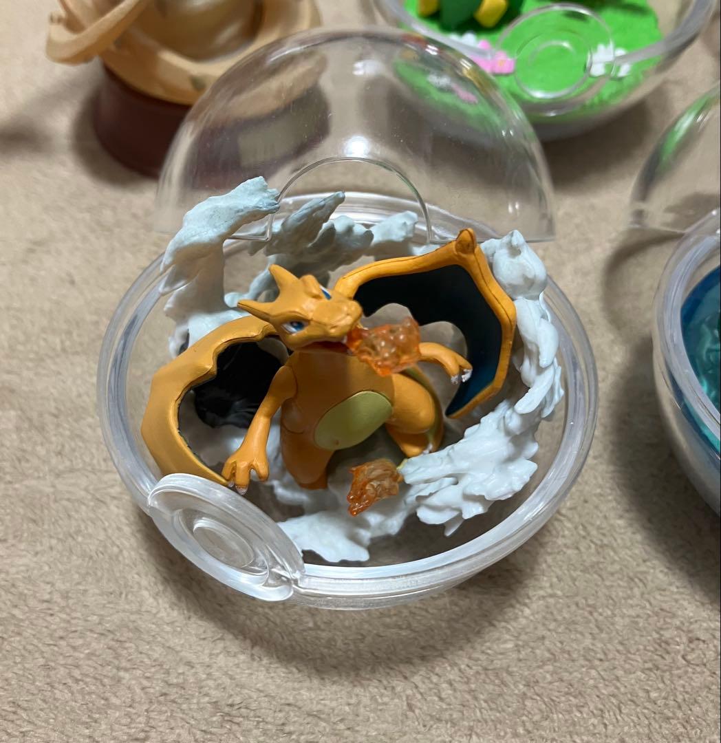 ポケモン　テラリウム