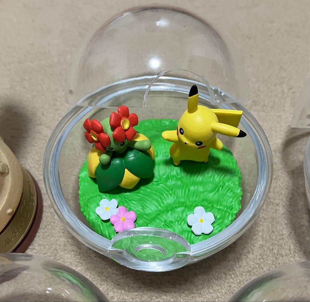 ポケモン　テラリウム