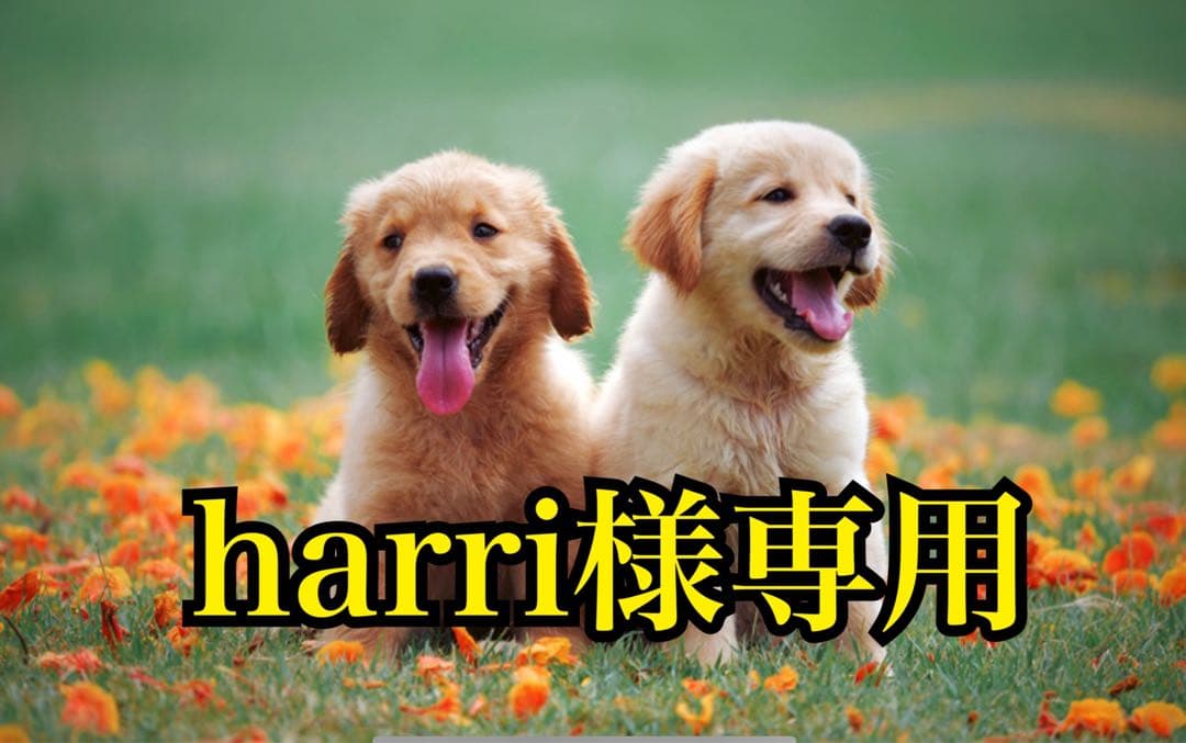 サプリメント harri
