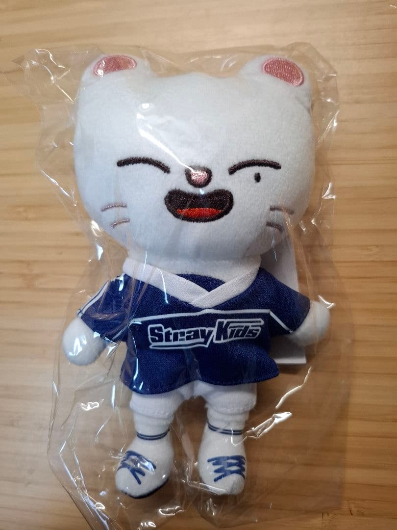 Stray Kids ヒョンジン　ジニレット9点セット