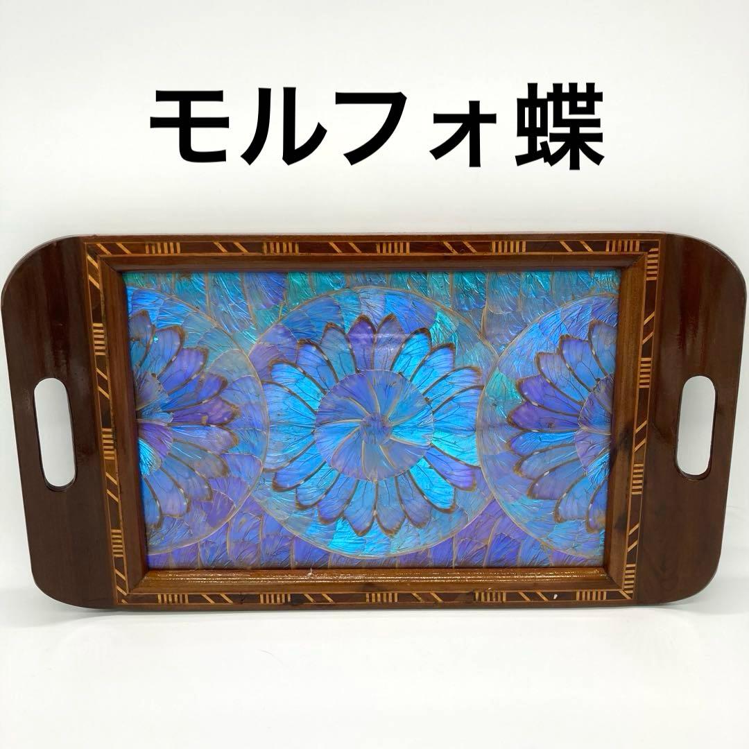 【レア】　モルフォ蝶　標本　美術　芸術　限定　　トレイ　キッチン　19