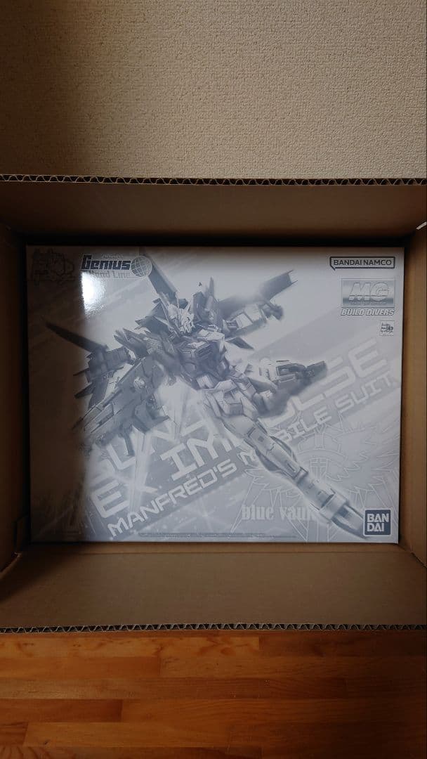 MG ガンダム エクスインパルス EX-IMPLUSE 未組立