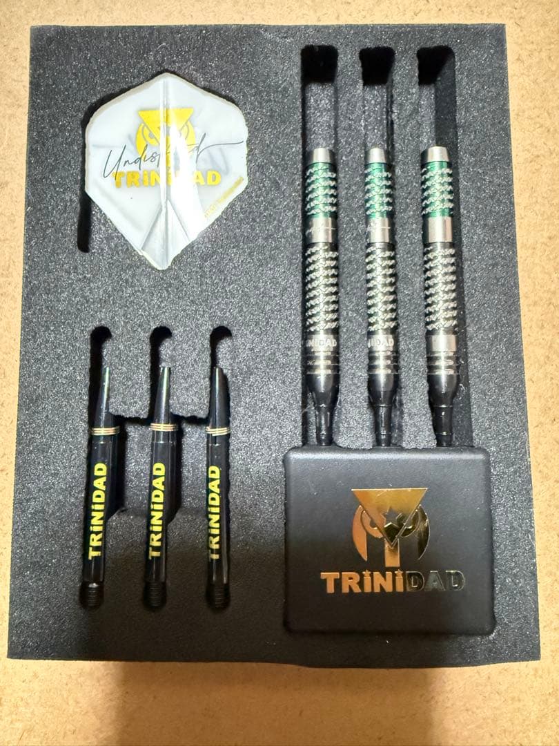 リカルド タイプ2 浅田斉吾選手