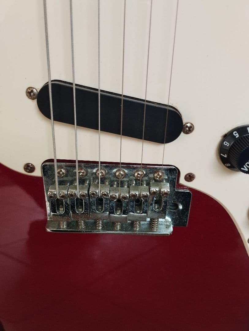 【1990年代】vintage mustang ムスタング 黒色ストラップ付属