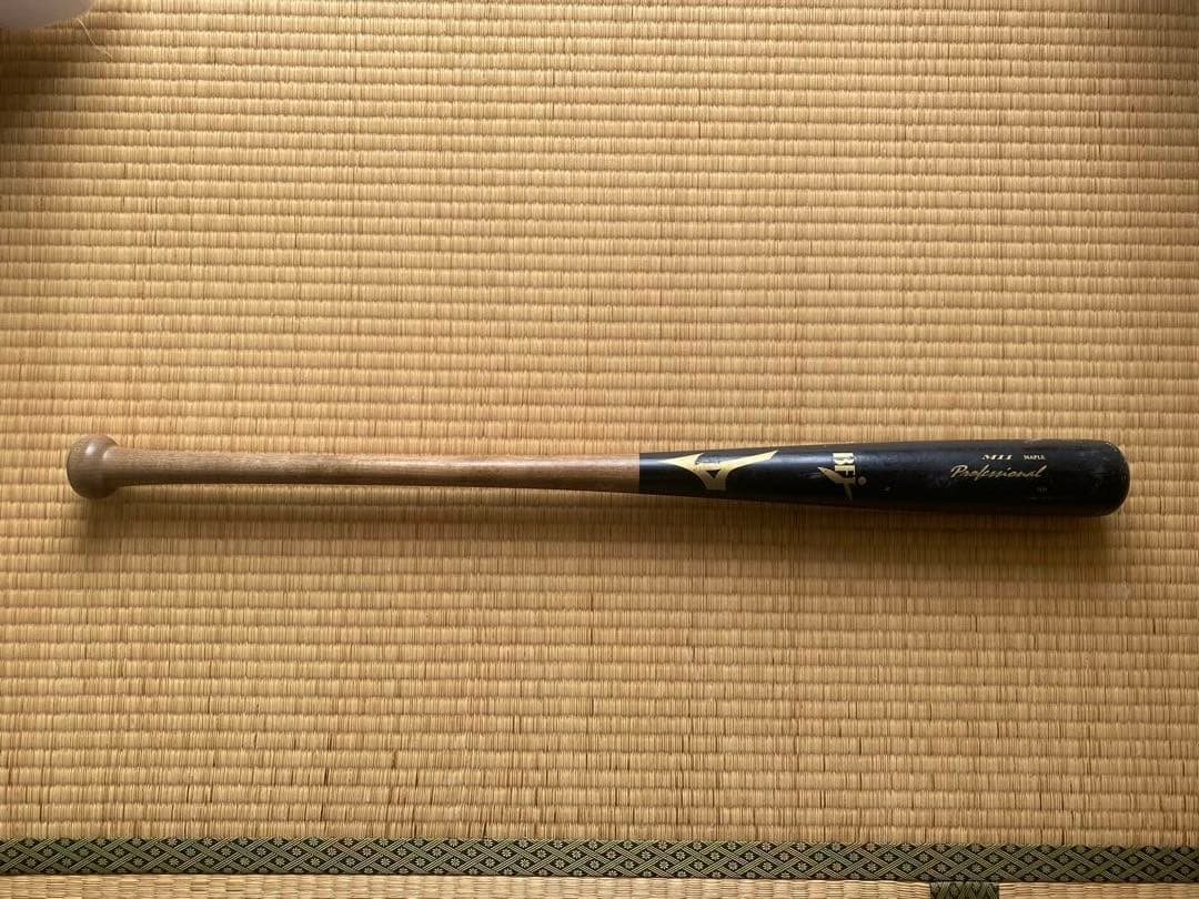 Mizuno 硬式用プロフェッショナル　84cm 平均890g