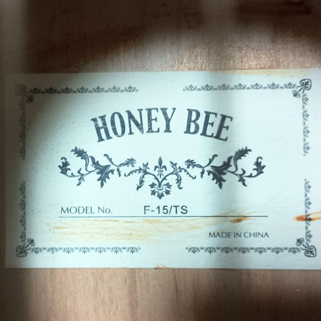美品　HONEY BEE　F-15 TS　アコースティックギター