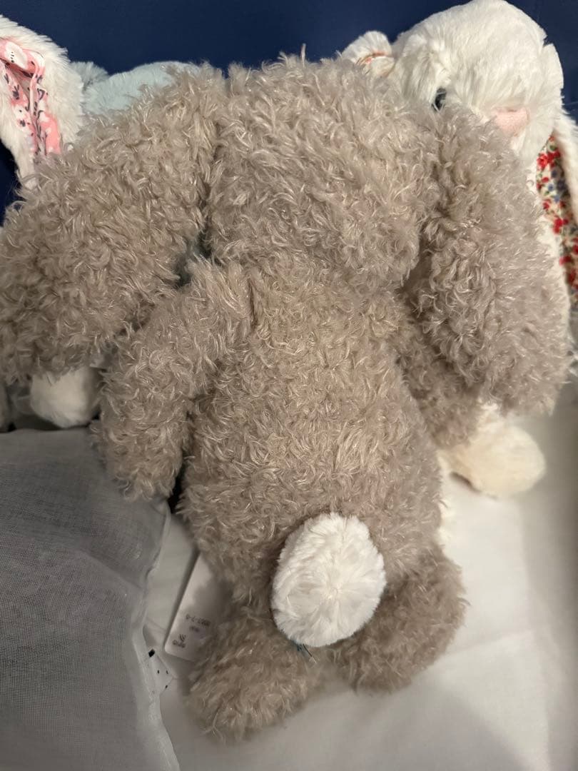  ジェリーキャット Mサイズ JCBAS3CUR