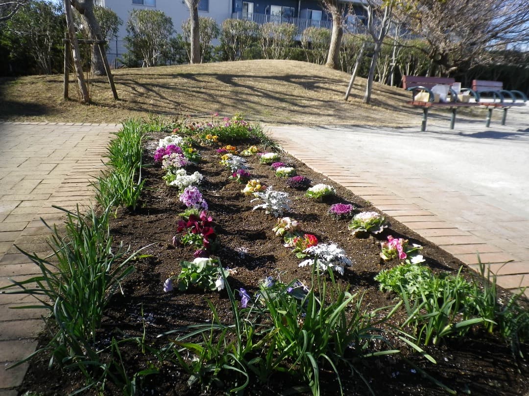 実写美⭕️【動作確認済み】PENTAX OPTIO H90 オールドコンデジ