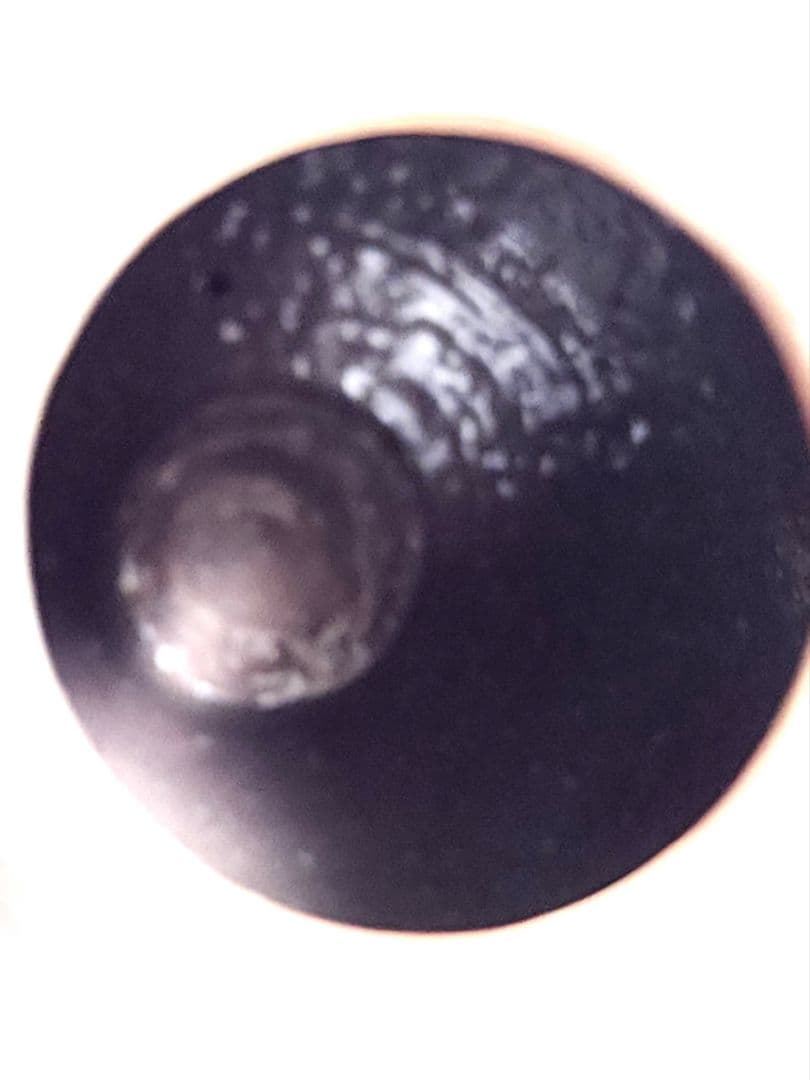 十三代 田原陶兵衛 萩焼 掛花入 共箱 共布 栞 茶道具 花瓶