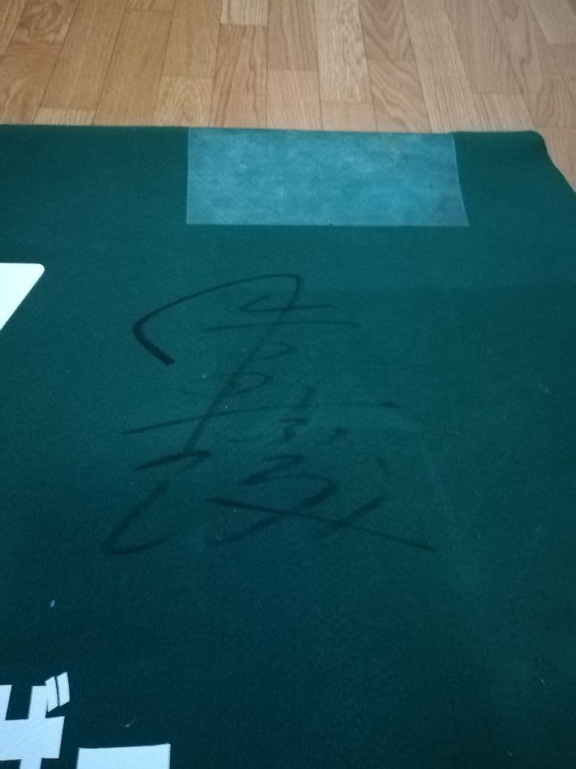 JRA実使用ゼッケン　モノポライザー