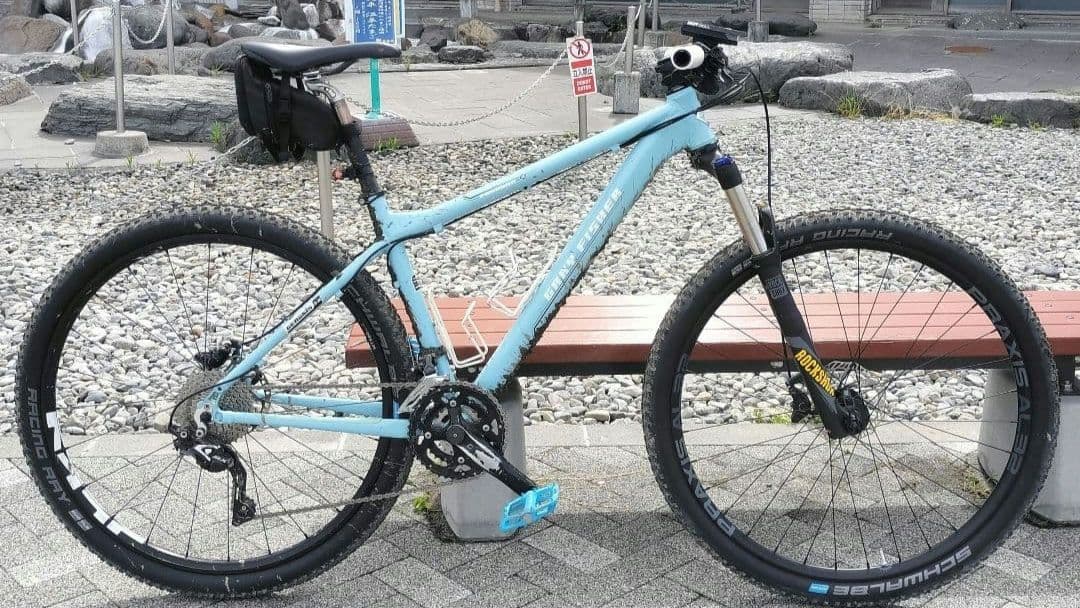 【最終値下げ】Gary Fisher Paragon 29 《フレームセット》