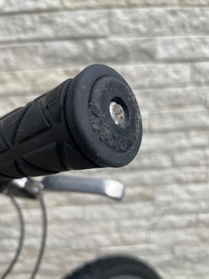 美品　 LOUIS GARNEAU 子供用自転車 22インチ ホワイト