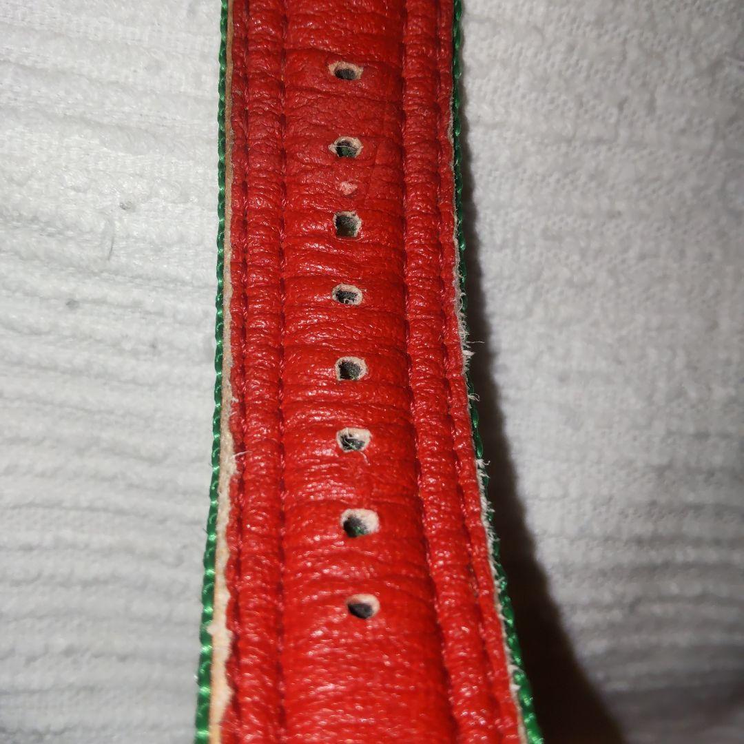 G-SHOCK DW-002 BM-9 ラスタ 換えベルト付き