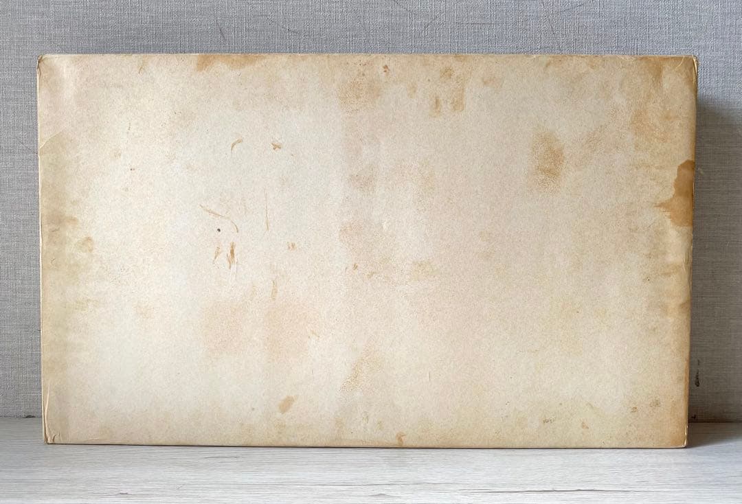 VF-1S Armored Valkyrie GBP-1Sダメージあり 空箱のみ