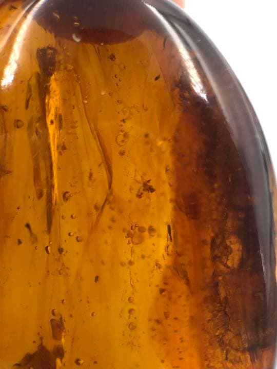 アンバー 琥珀 ユニーク 天然石 虫入り ネックレス 化石 宝石