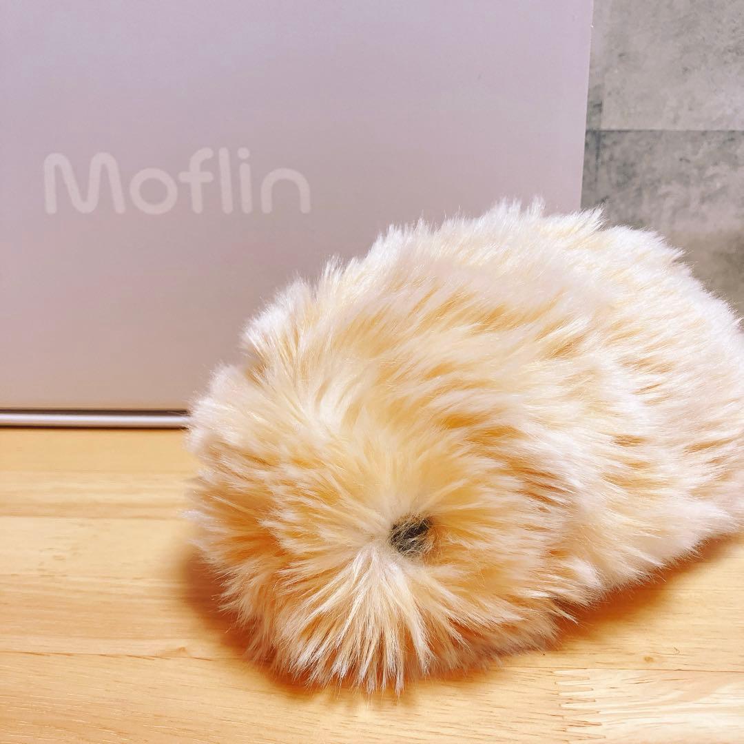 【うしうし】カシオMoflin(PE-M10)ゴールド