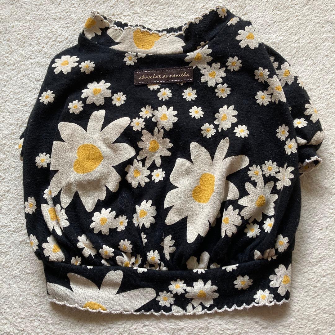 アトリエGG ペット服