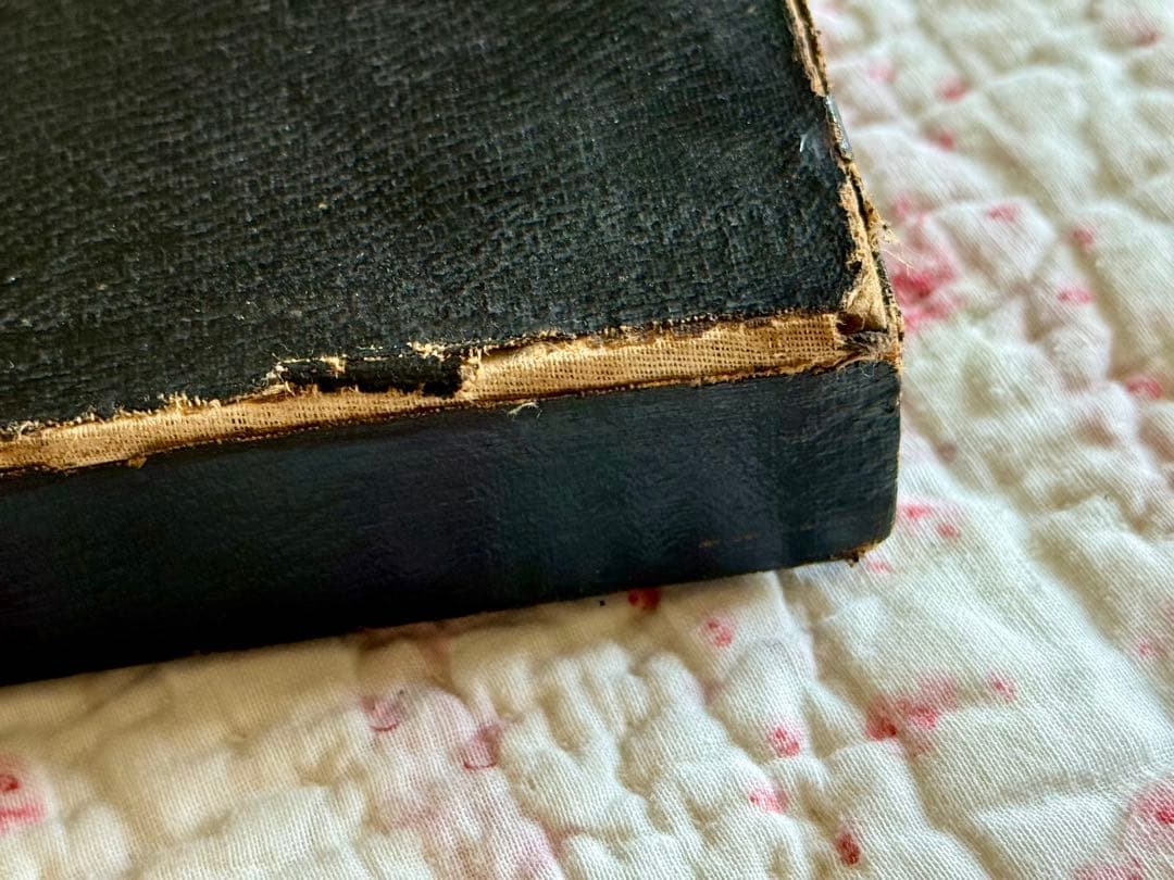 フランス　アンティーク＊BISCUITS GUILLOUT PARIS＊ボックス