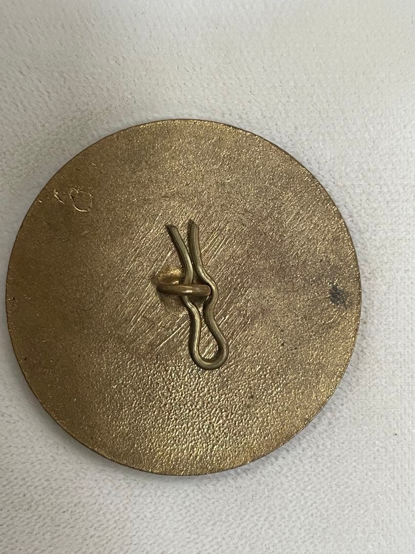 たかまま様　⬇️【希少】アンティーク エナメル手書き　ボタン