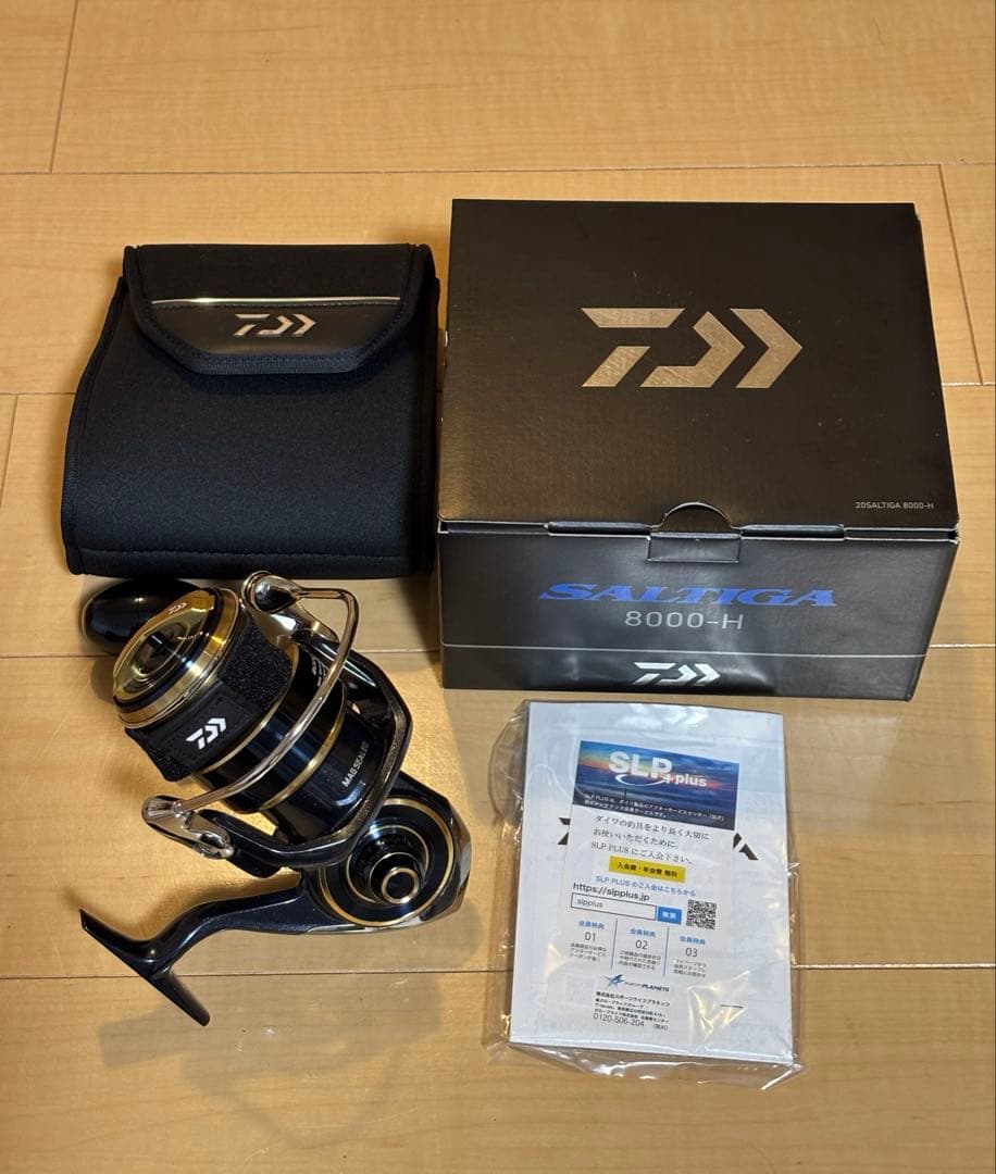 ２０ソルティガ８０００H