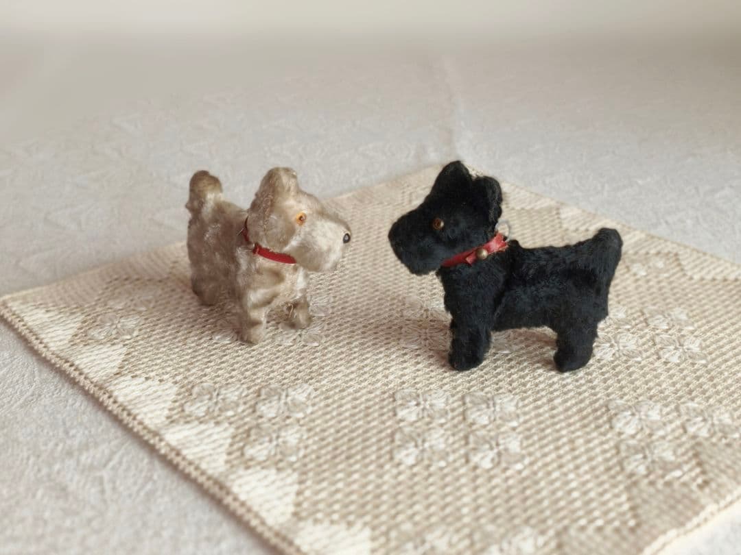 * vintage teria ❀ クリーム色の毛並みの テリアさん