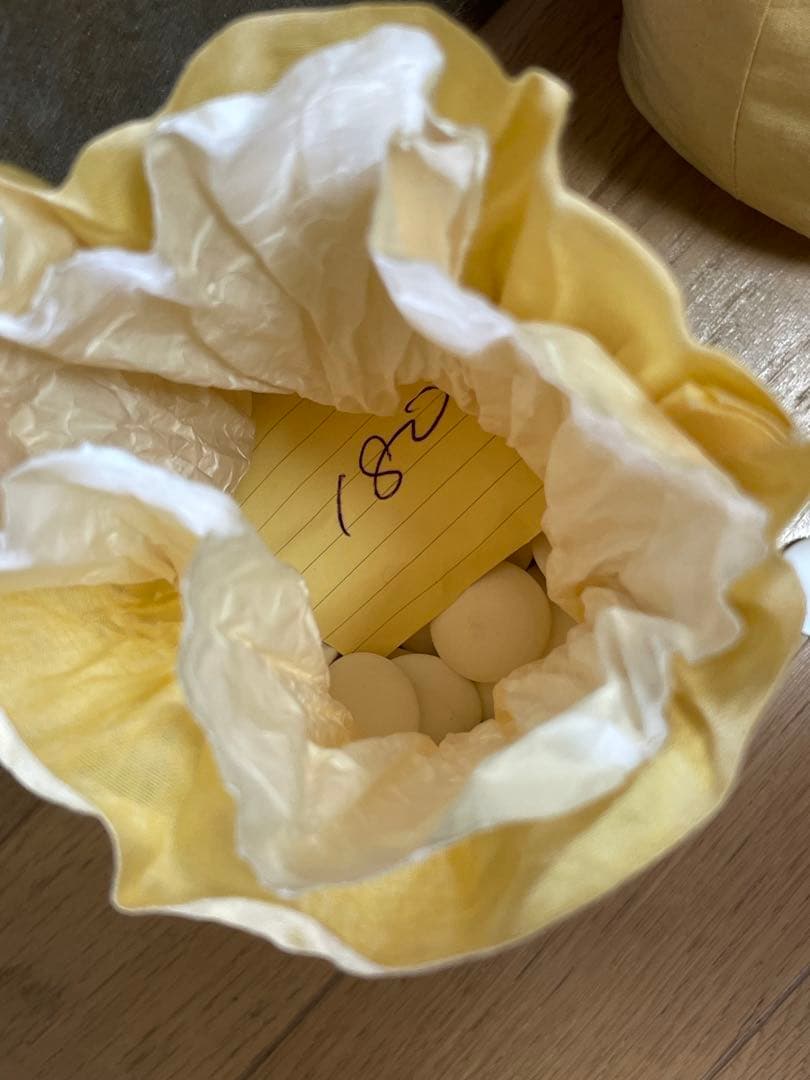 【希少•美品】本那智黒・日向本蛤 碁石セット（布袋入り／32号相当／180個超）