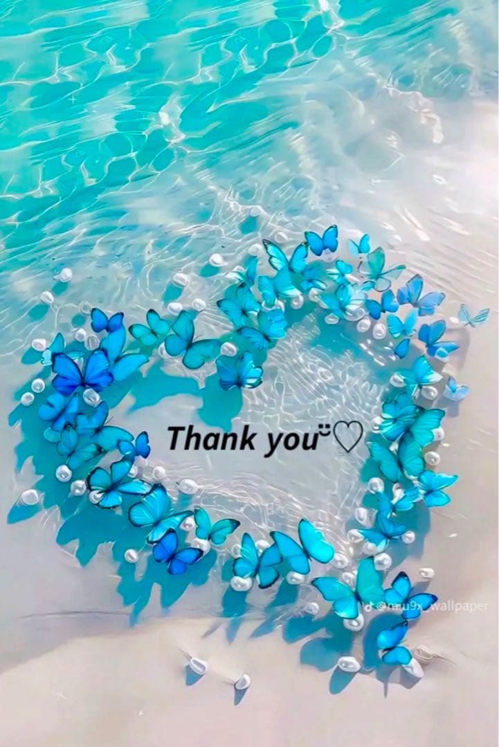 ❤️にけ さま❤️