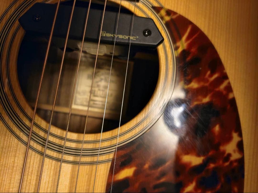 RECORDING KING RD-328　オール単板マーチン純正ハードケース付