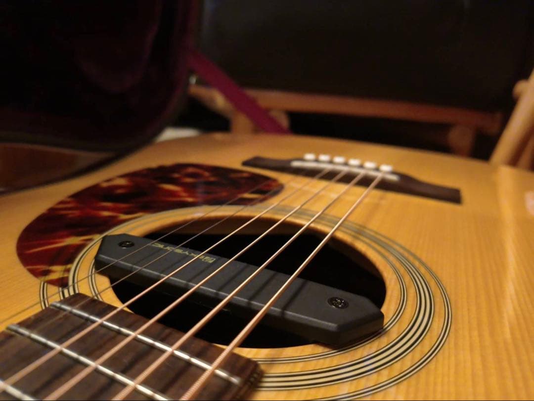 RECORDING KING RD-328　オール単板マーチン純正ハードケース付