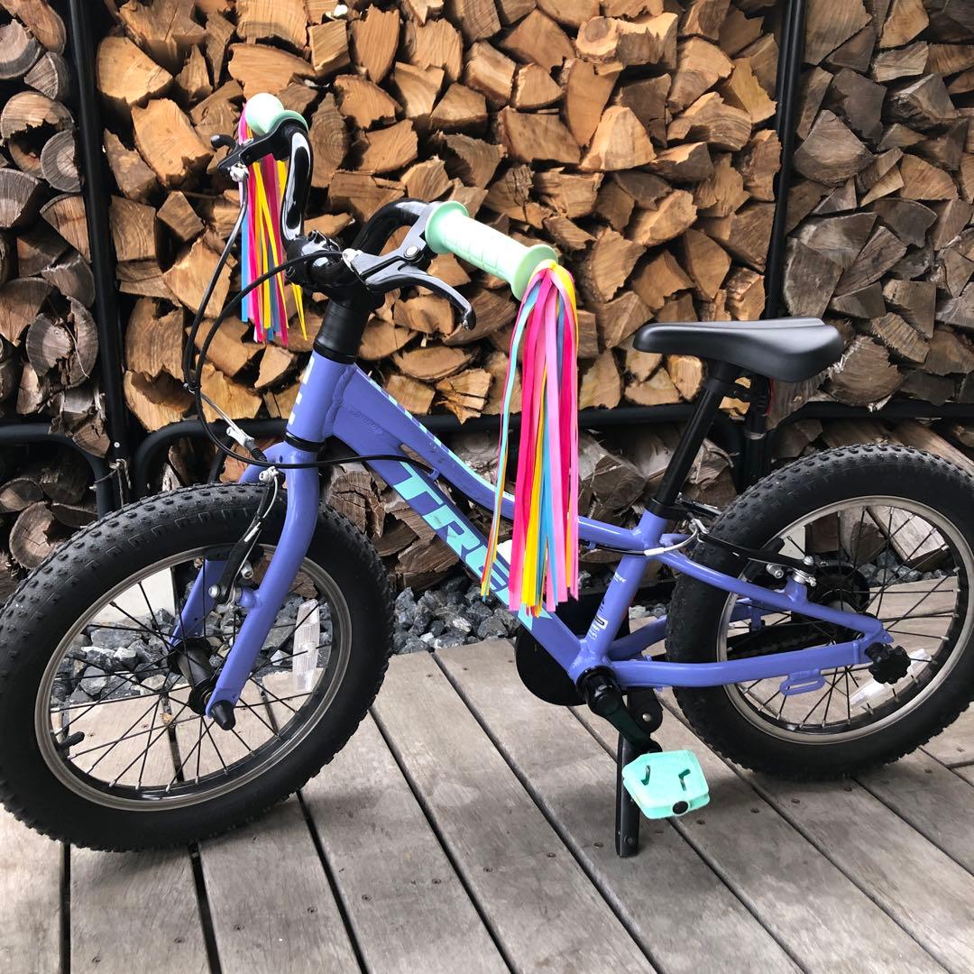 TREK 16インチ パープル