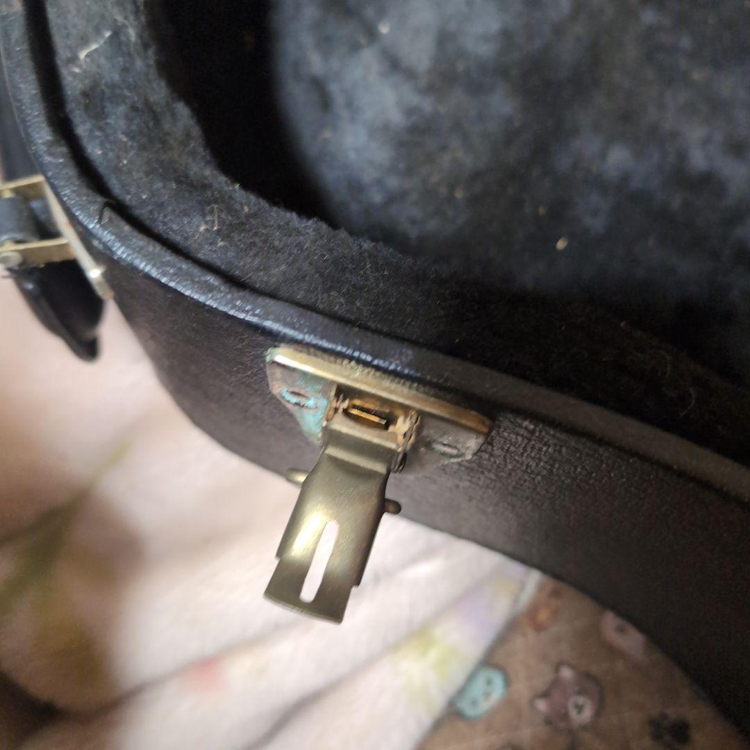 Gibson dove Limited アコースティックギター