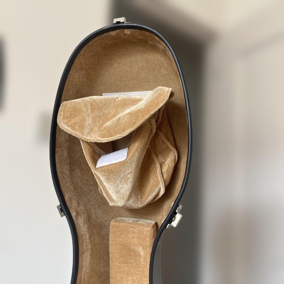 【送料無料】チェロハードケース(キャスター付き)