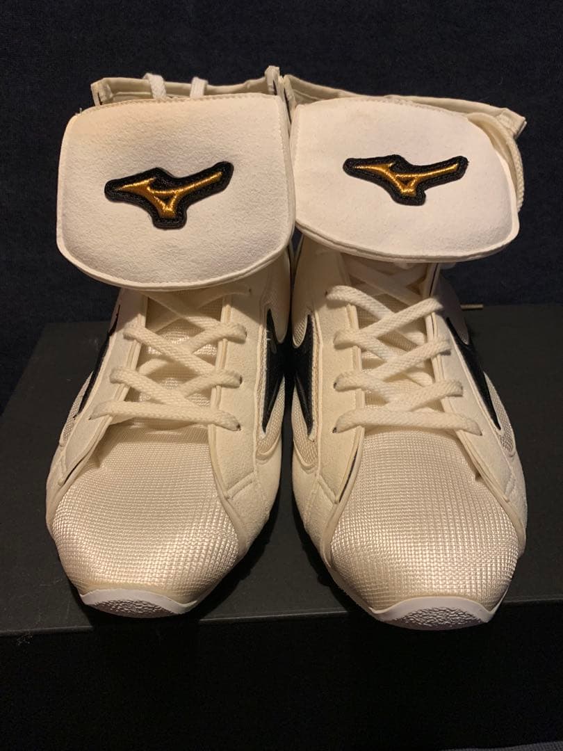 Mizuno ボクシングシューズ