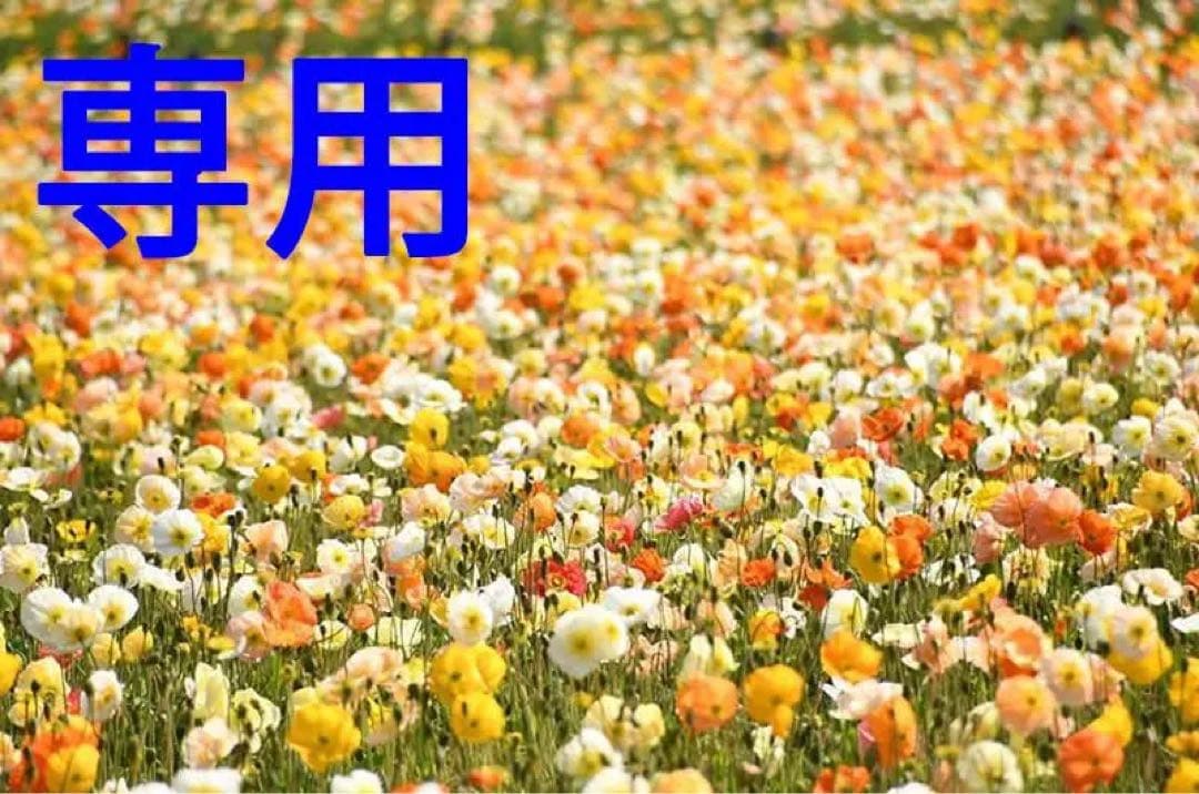 ケリーチャッさん専用