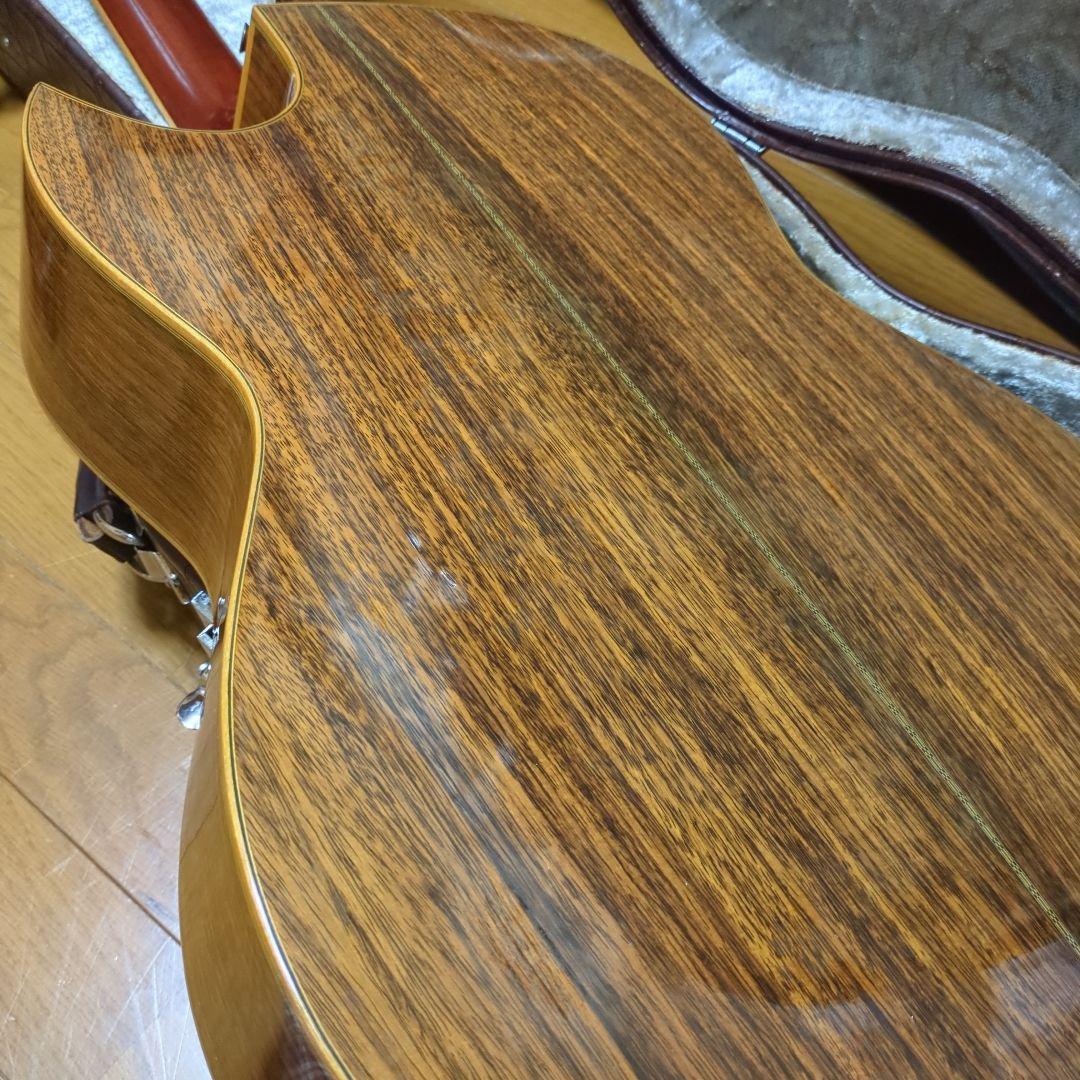 ギター Asturias ,Tree'of.Life.