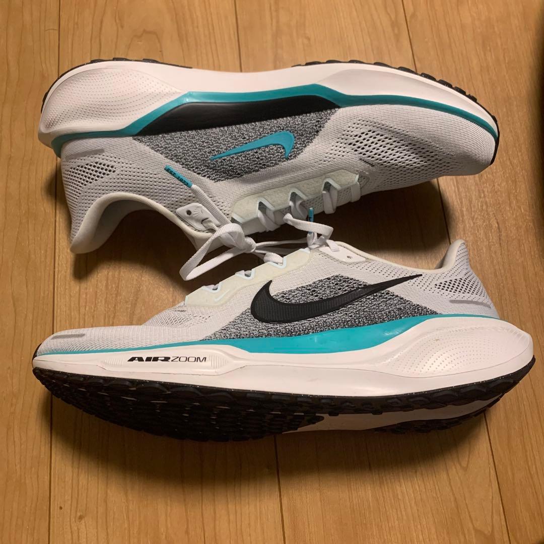 新品ナイキNIKEズームペガサス29cm