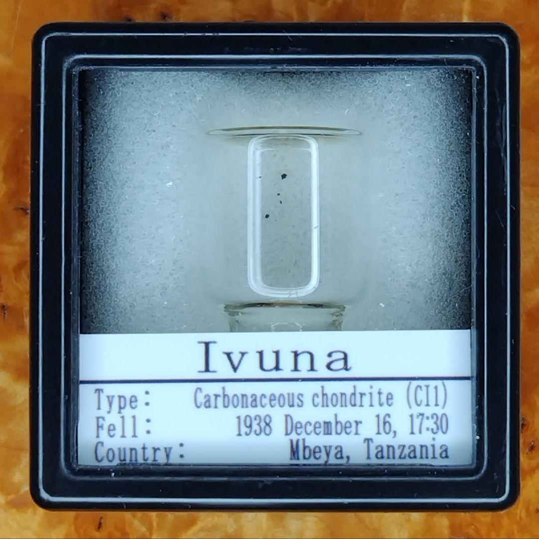 ✨️究極レア!!!　イブナ隕石標本