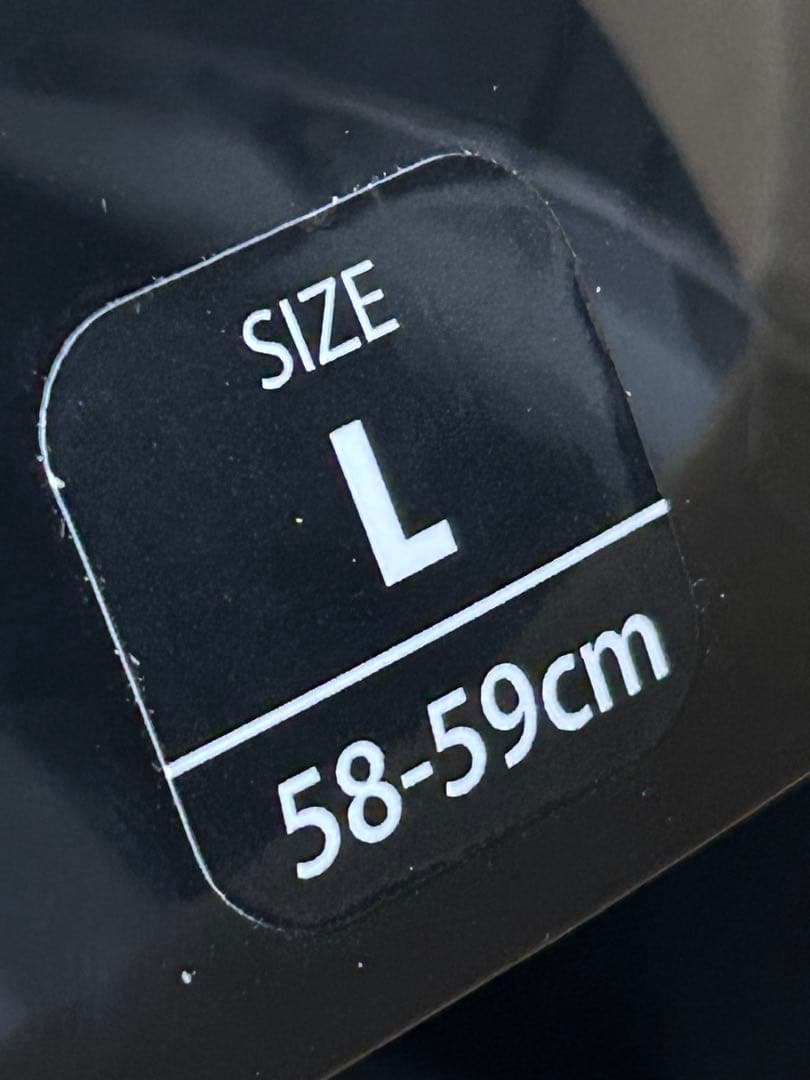 SWANSスキーヘルメットFIS規格モデルL(58-59)HSR-90FIS