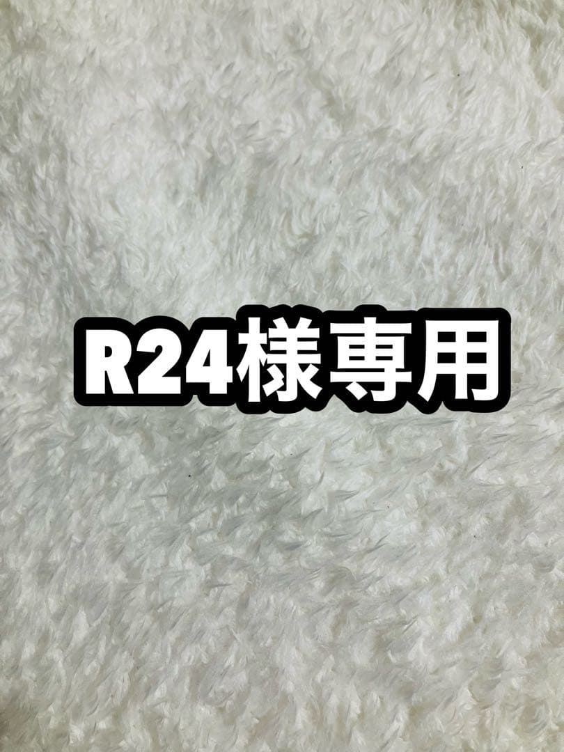 R24 PSA10 メガリザードンY ex mur 4/4