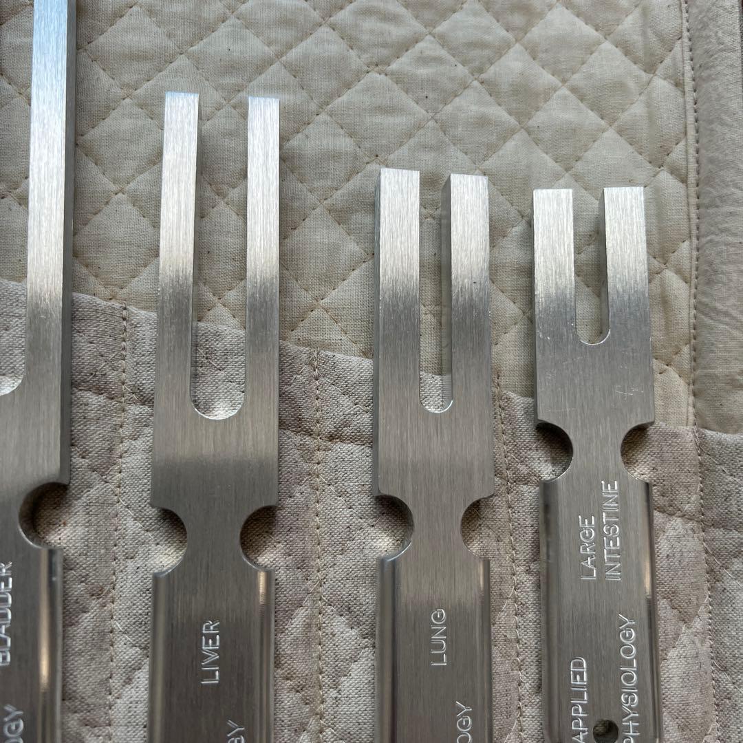 アプライドキネシオロジー　音叉