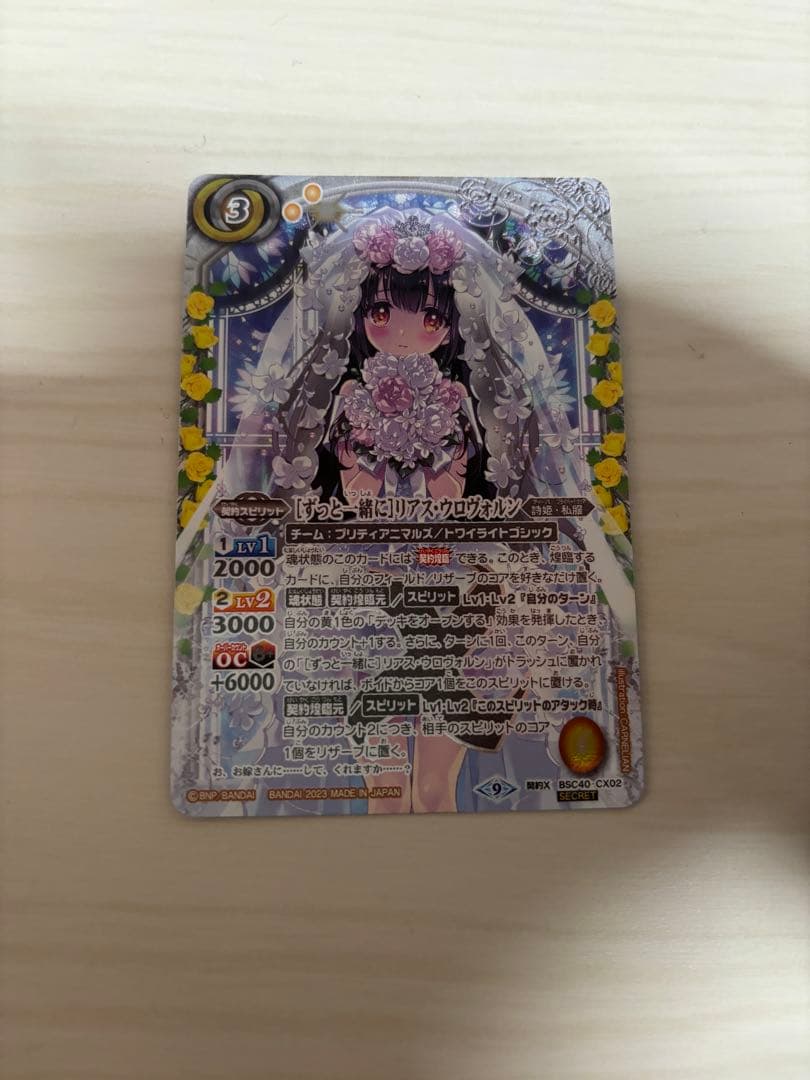 ずっと一緒に リアスウロヴォルン シークレット