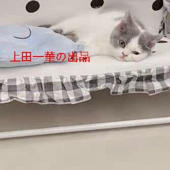 ングチェア用の小型犬や猫グッズのぬいぐるみを解体することができる8