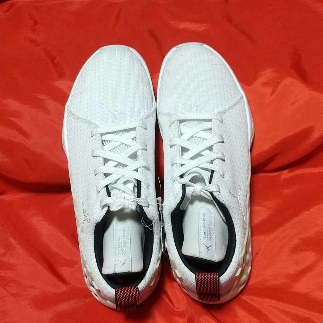 【新品未使用】NIKE ジャンプマン　バスケ　シューズ